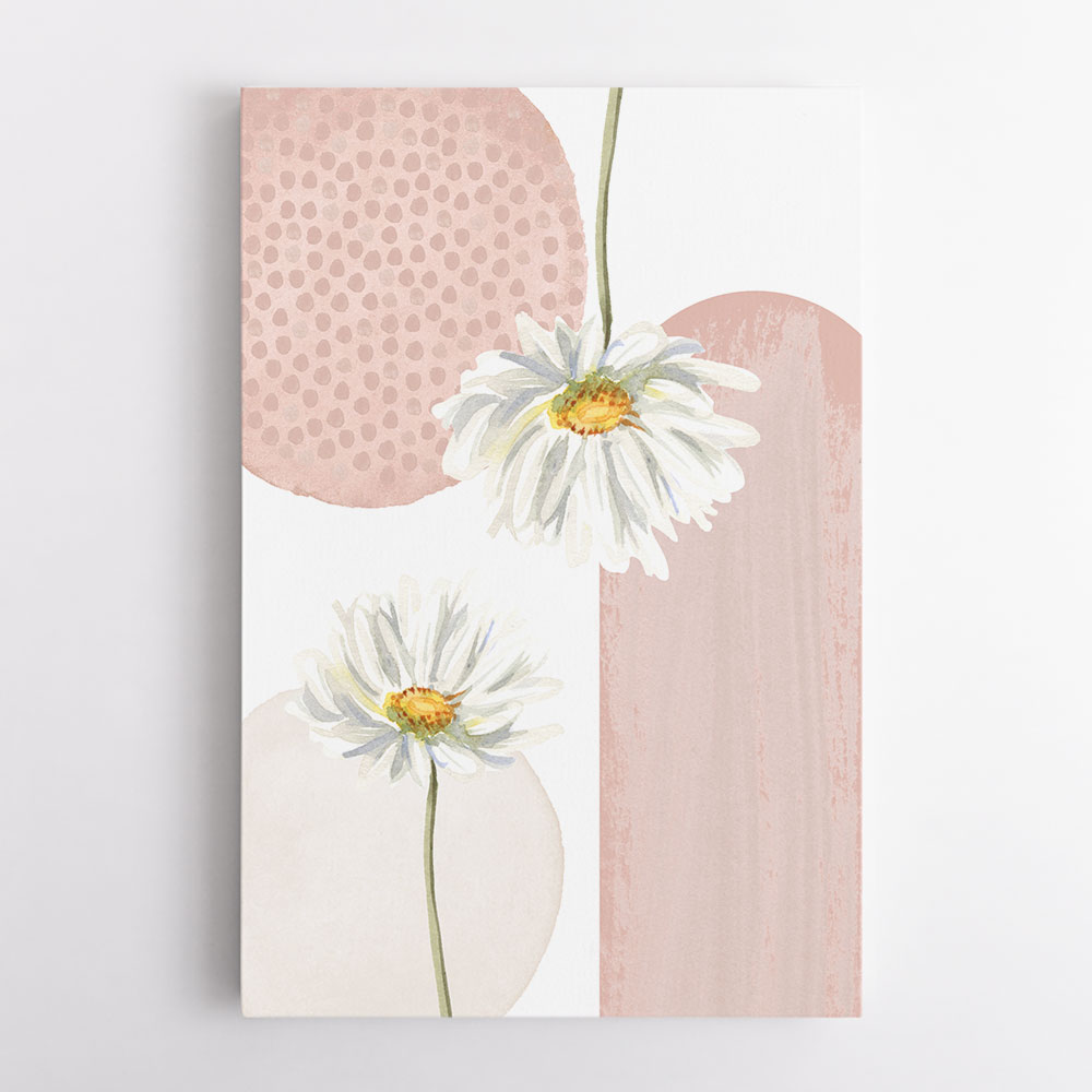 Daisy Pinks 3