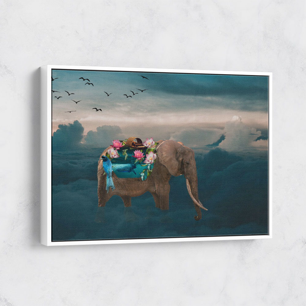 Sea Elephant