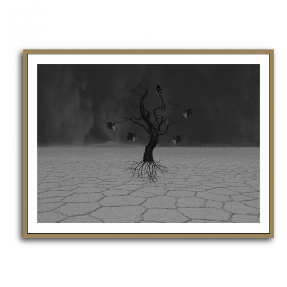 Desert Tree