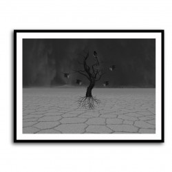 Desert Tree