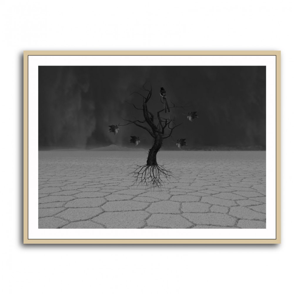 Desert Tree