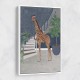 Giraffe By The Stairs