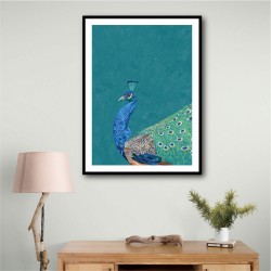 Turquoise Peacock