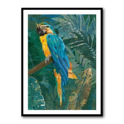 Blue Parrot In The Rainforest
