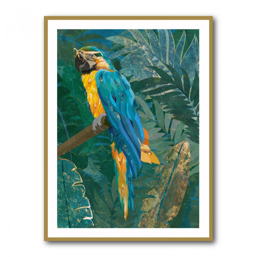 Blue Parrot In The Rainforest