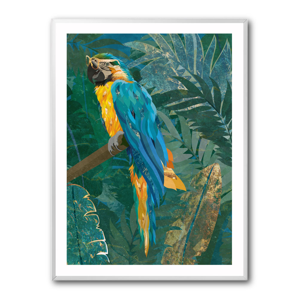 Blue Parrot In The Rainforest