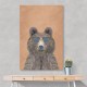 Cool Bear Portrait