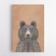 Cool Bear Portrait