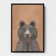 Cool Bear Portrait