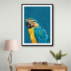 Vibrant Macaw Wearing Glasses