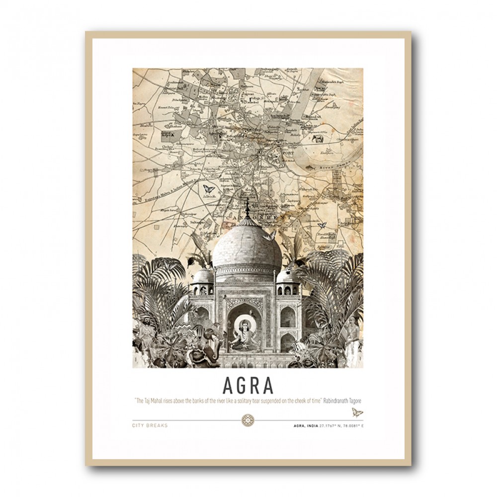 Agra Taj Mahal City Art