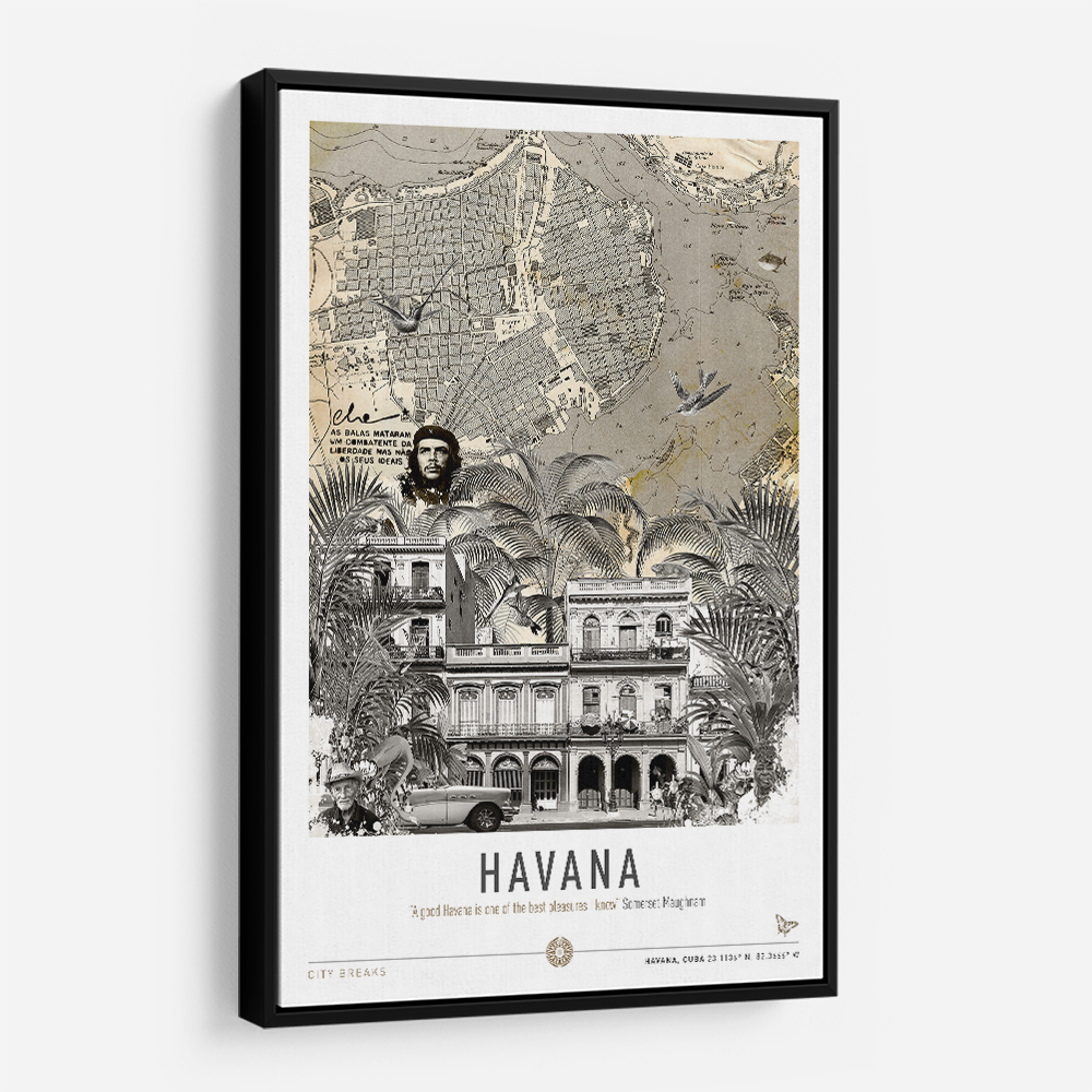 Havana City Art