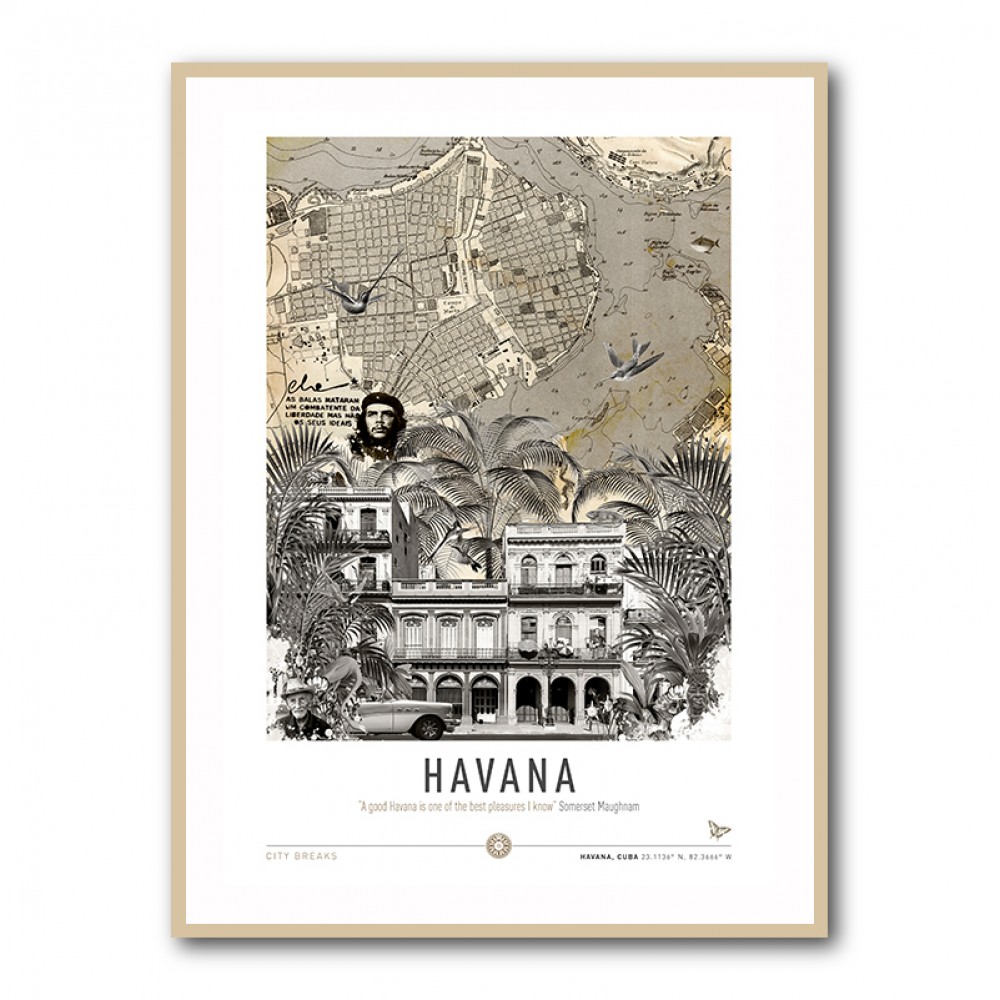 Havana City Art