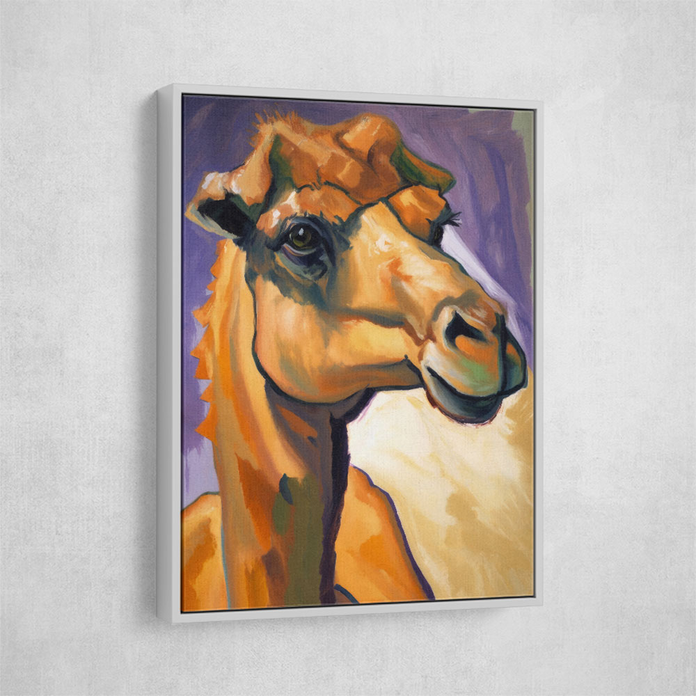 Camel