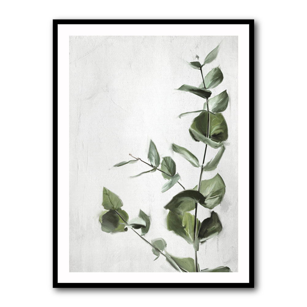 Eucalyptus