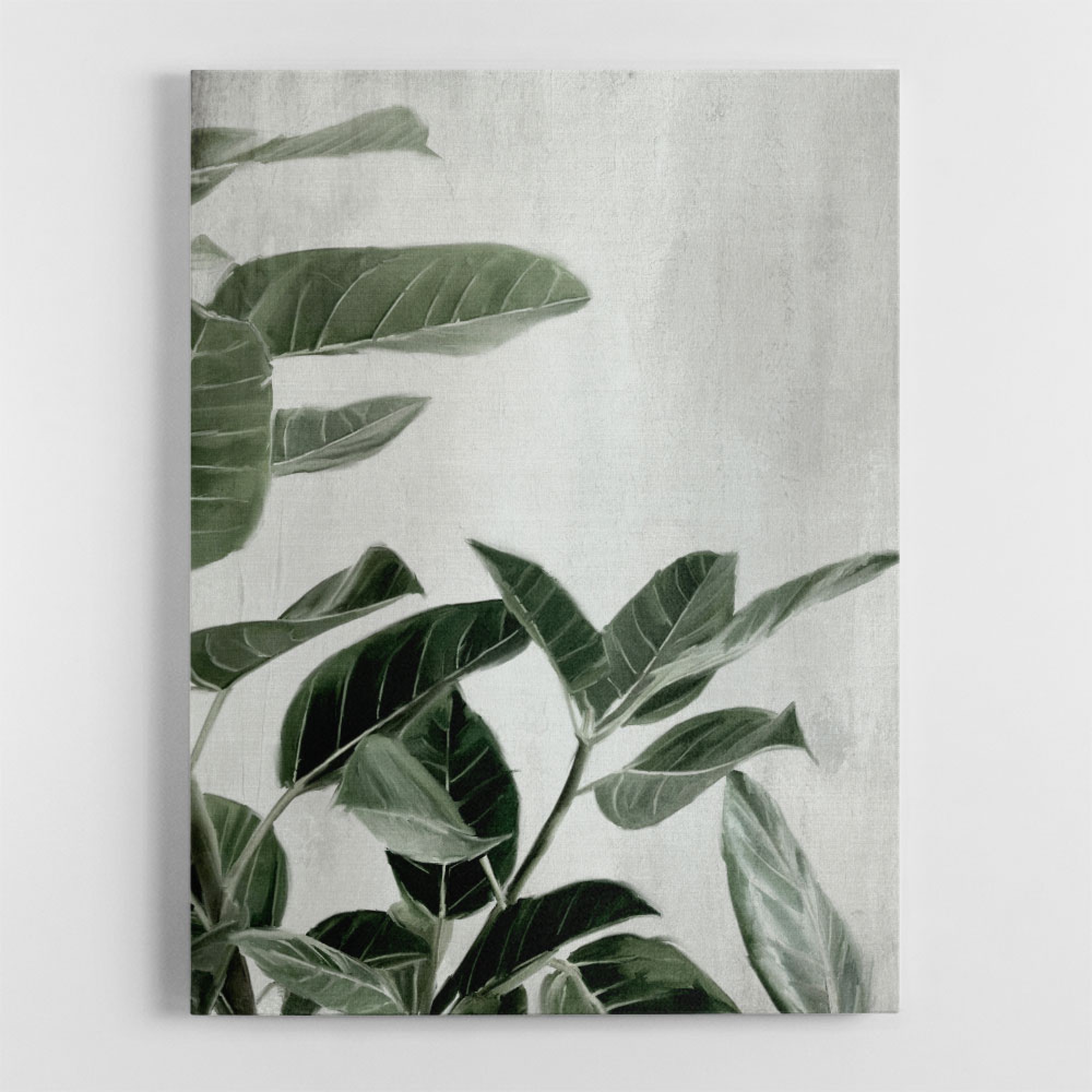 Ficus Wall Art