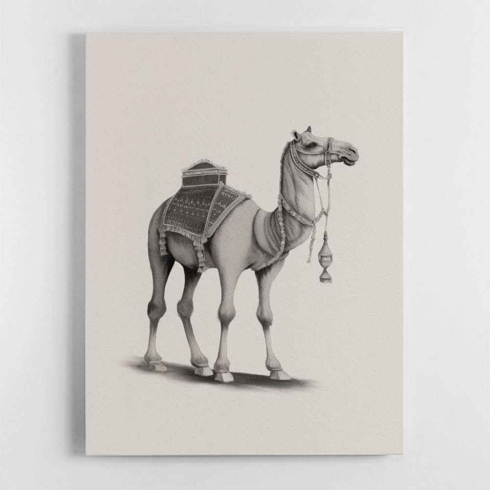 Graphic Camel