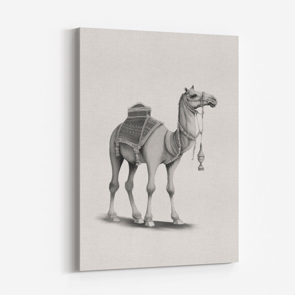 Graphic Camel