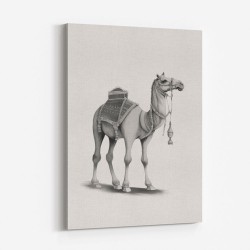Graphic Camel
