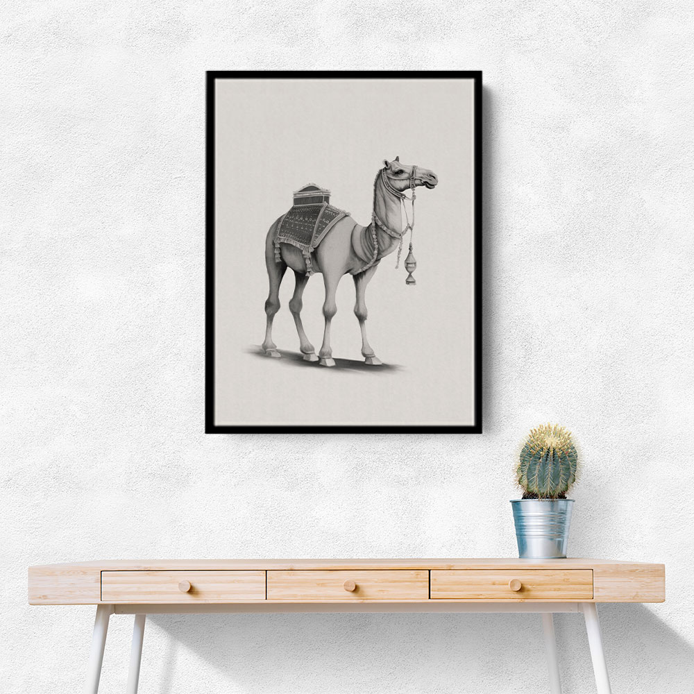 Graphic Camel