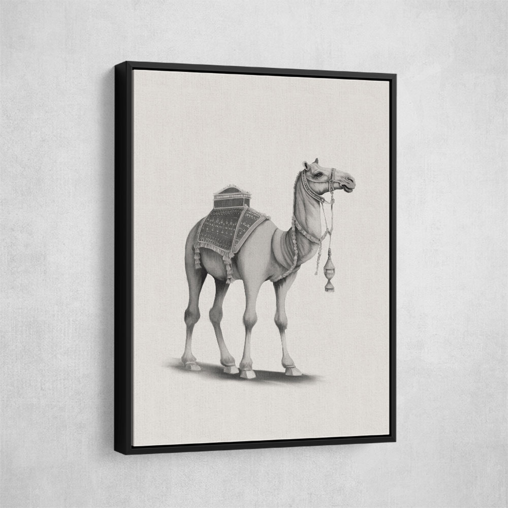 Graphic Camel