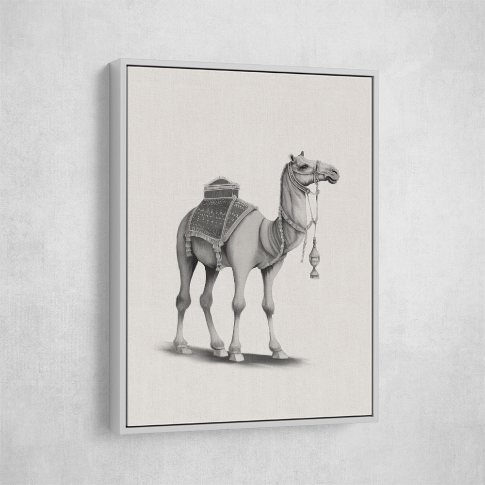 Graphic Camel