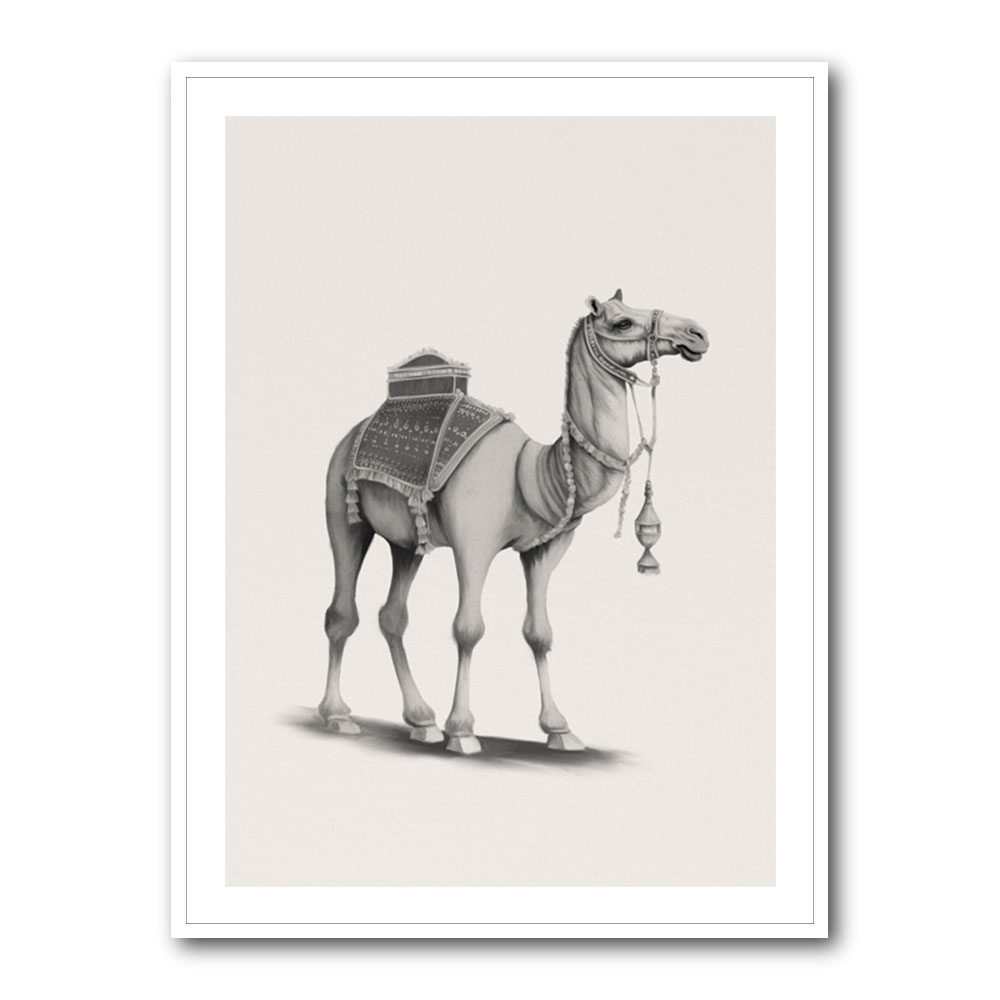 Graphic Camel