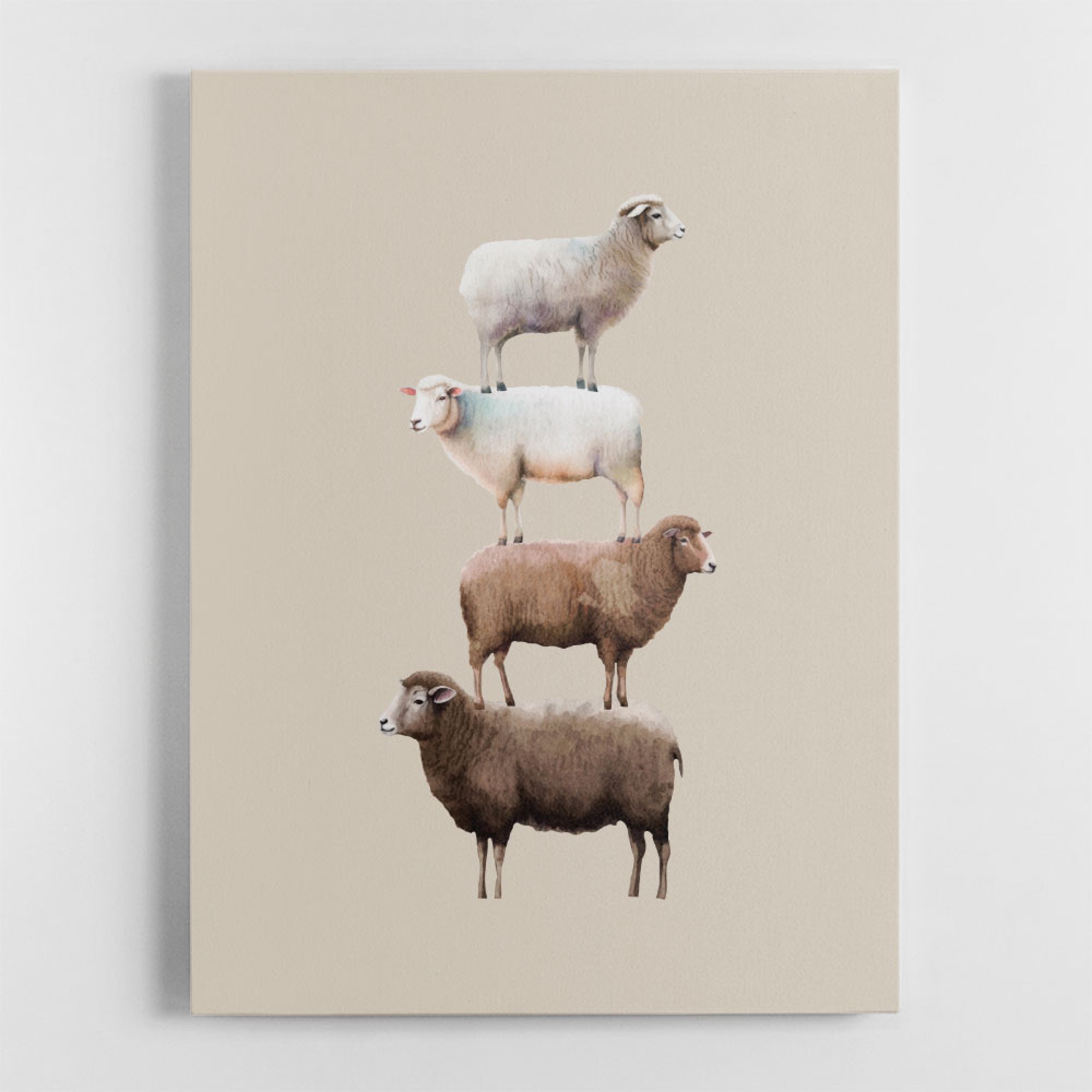 Sheeps Wall Art