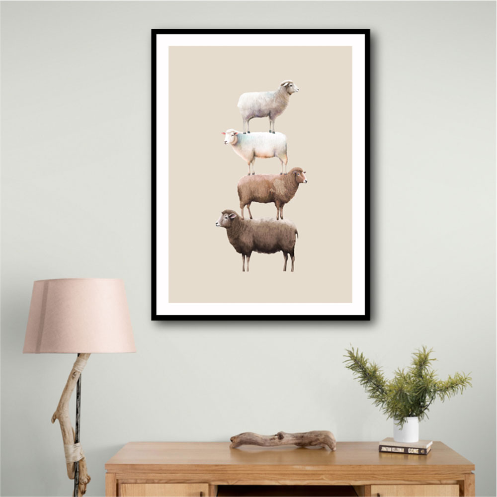 Sheeps Sheeps