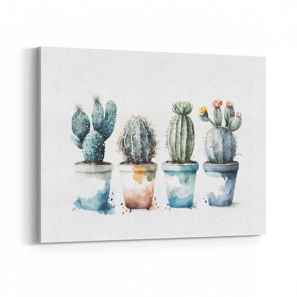 Blue Shades Cactus