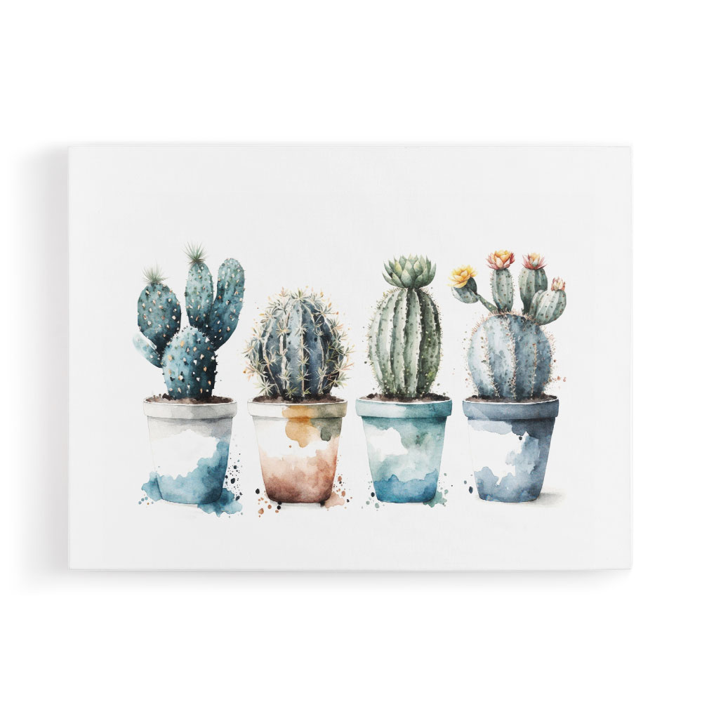 Blue Shades Cactus