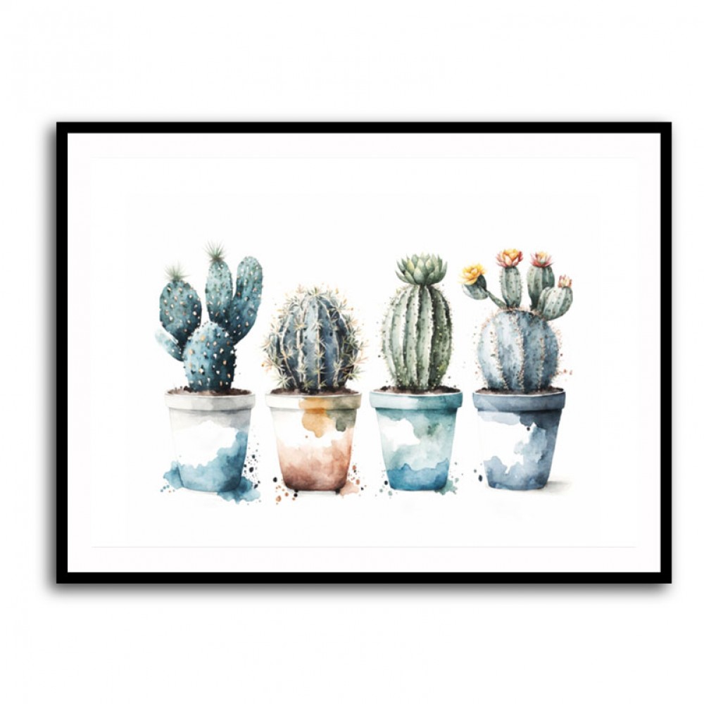 Blue Shades Cactus