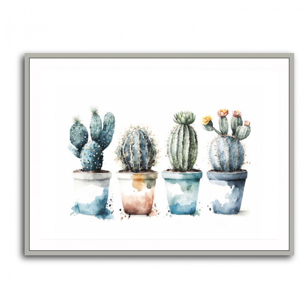 Blue Shades Cactus