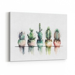 Colored Spots Cactus