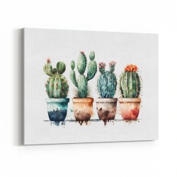 Colorful Potted Cactus