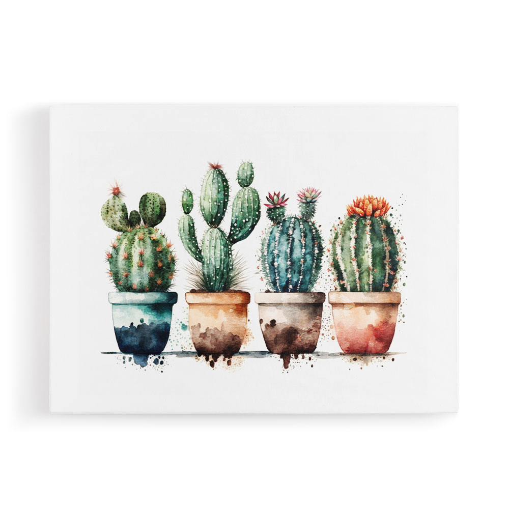 Colorful Potted Cactus