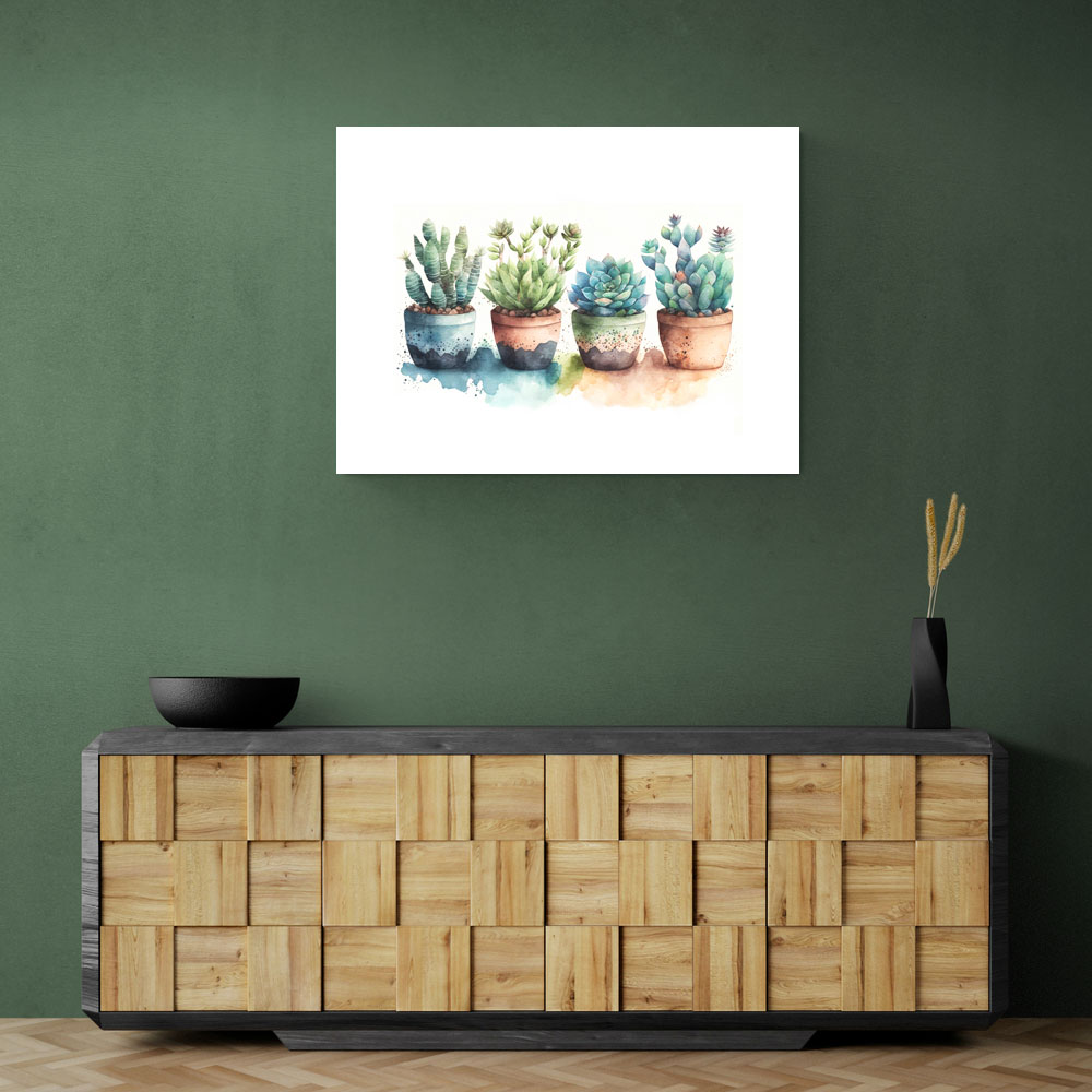 Colorful Succulents Colorful Succulents