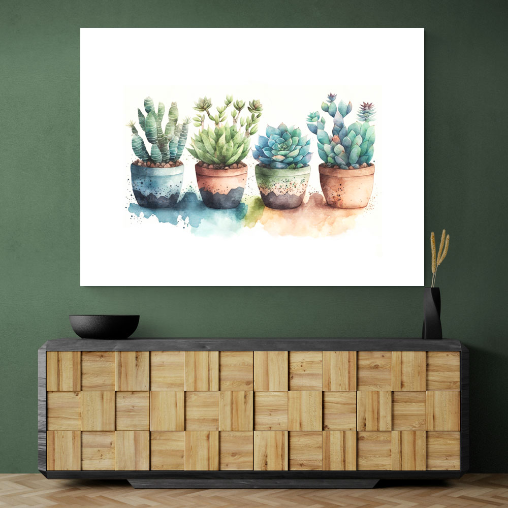 Colorful Succulents Colorful Succulents