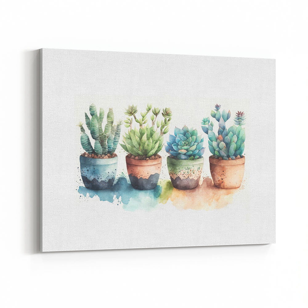 Colorful Succulents Colorful Succulents