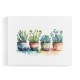 Colorful Succulents Colorful Succulents