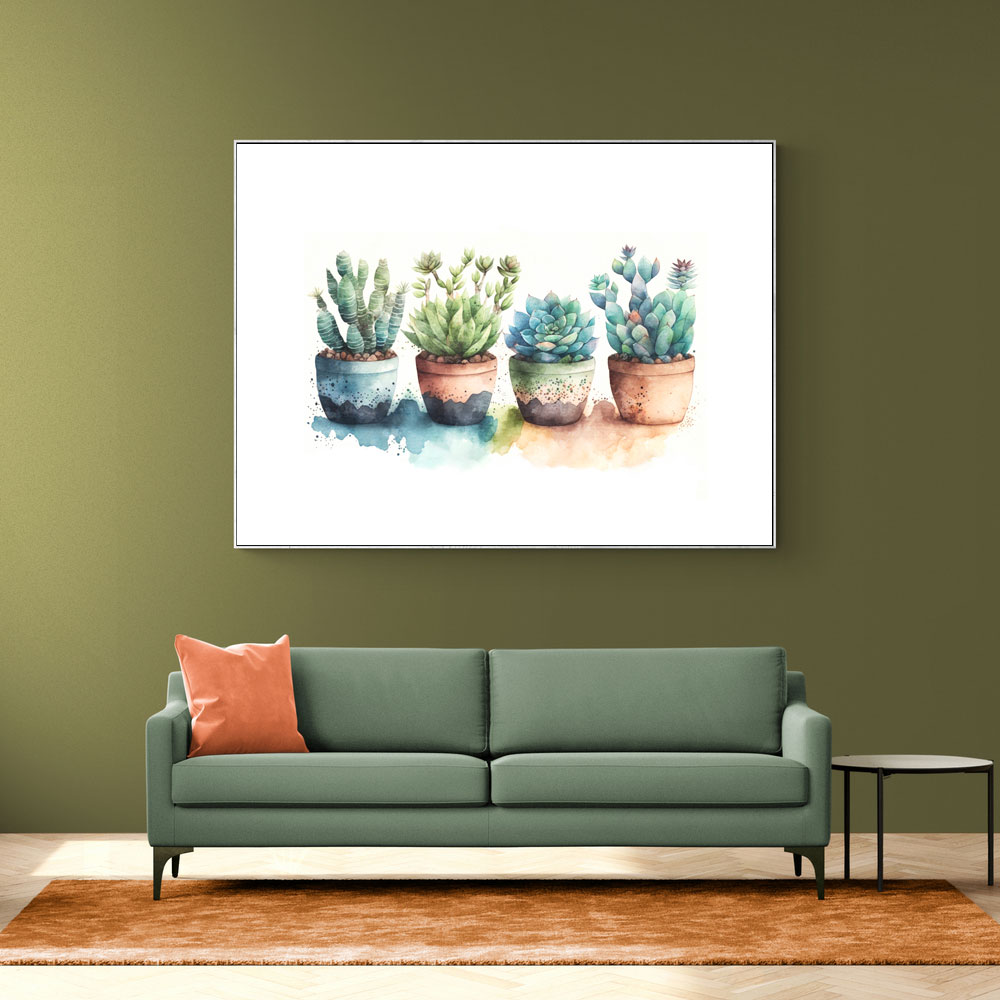 Colorful Succulents Colorful Succulents