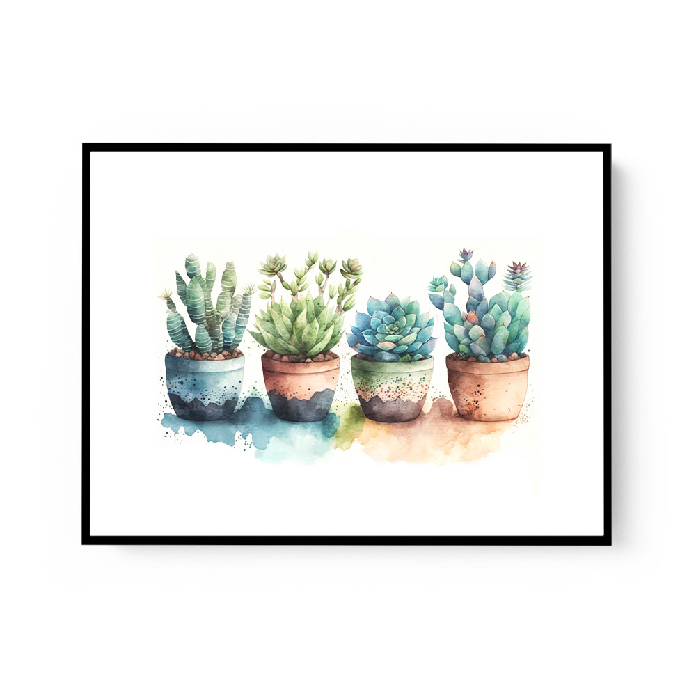 Colorful Succulents Colorful Succulents