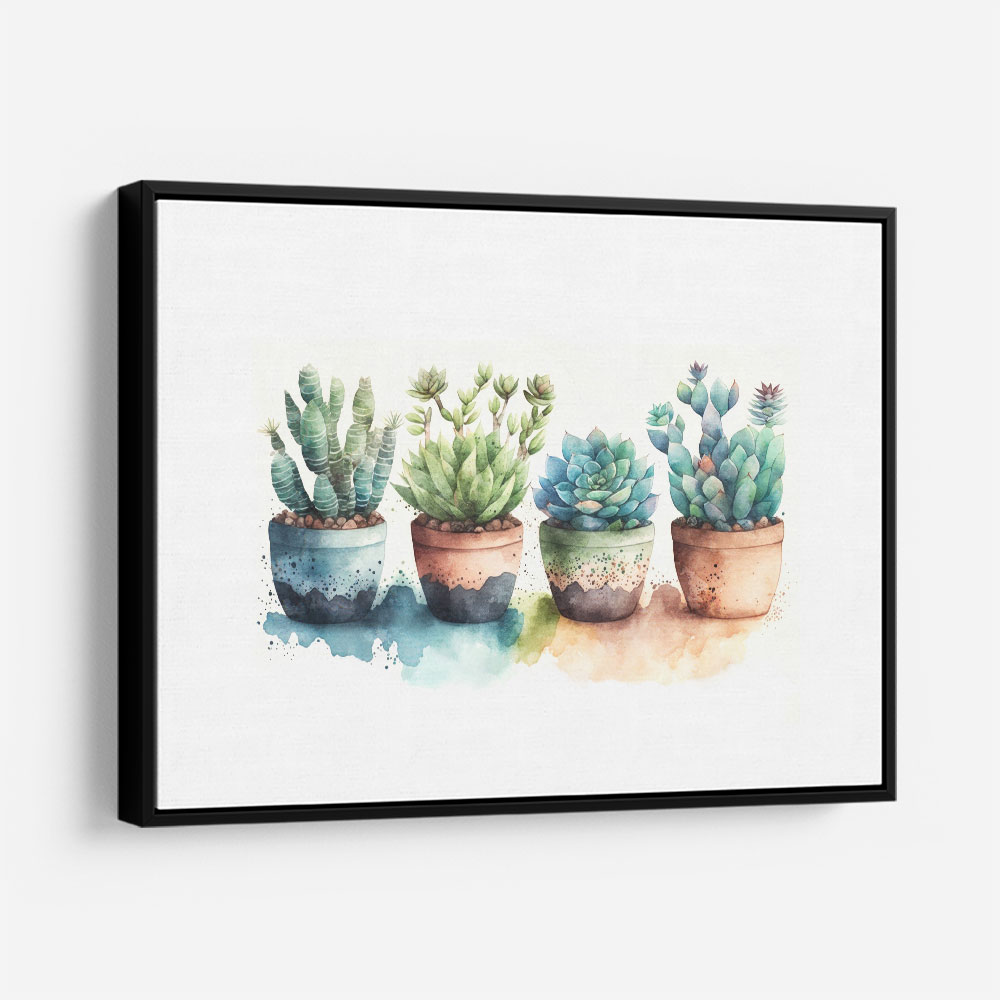 Colorful Succulents Colorful Succulents