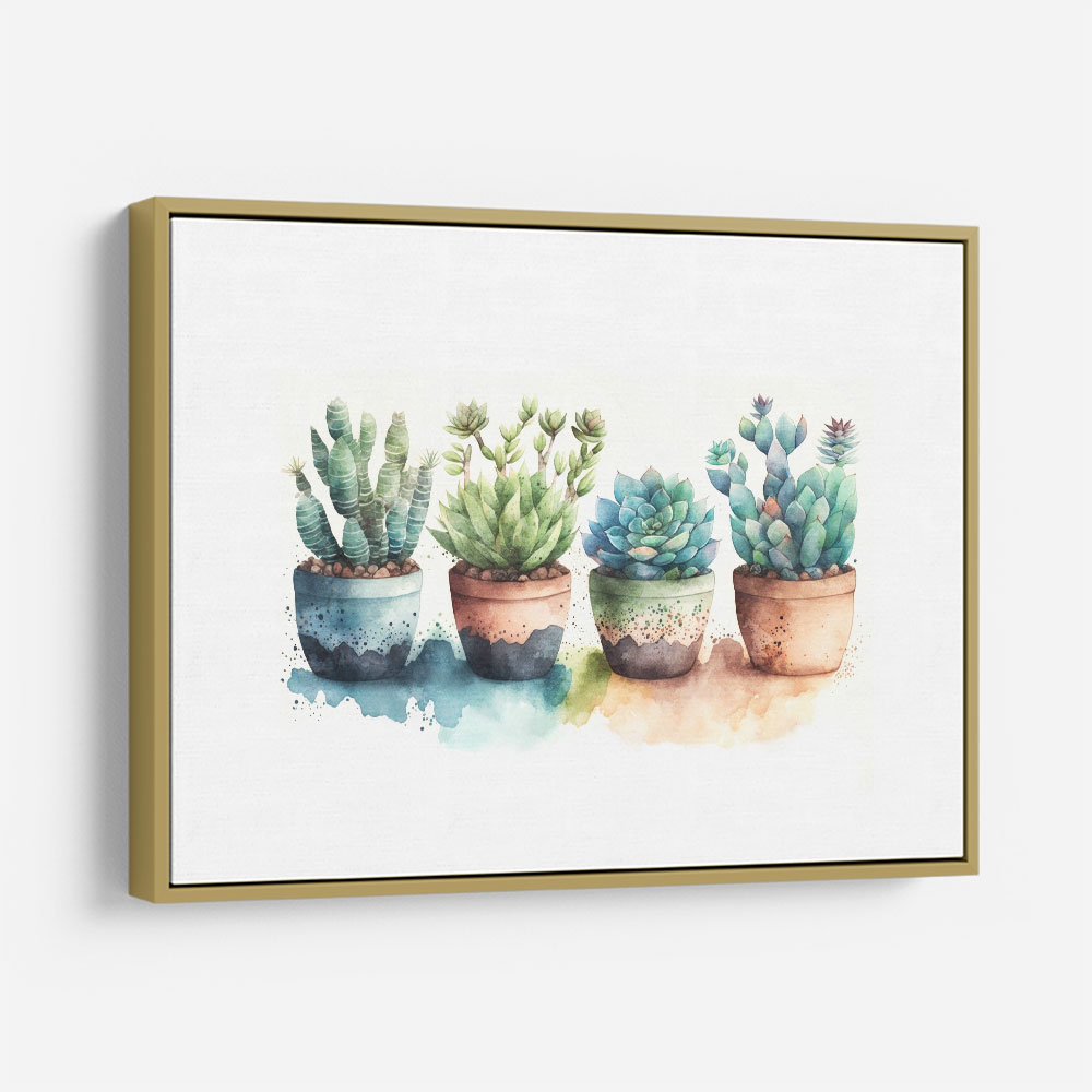 Colorful Succulents Colorful Succulents