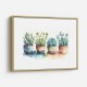 Colorful Succulents Colorful Succulents