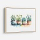 Colorful Succulents Colorful Succulents