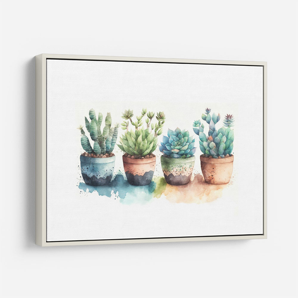 Colorful Succulents Colorful Succulents