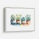 Colorful Succulents Colorful Succulents