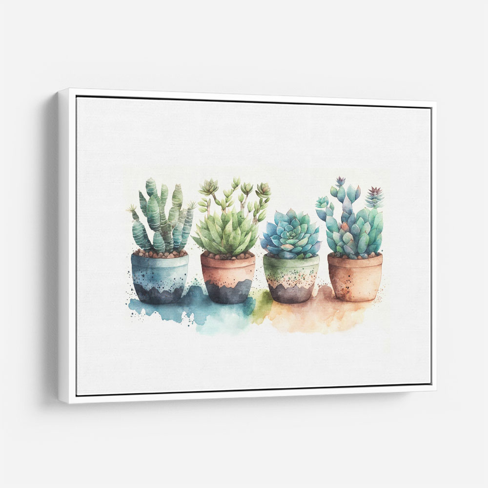 Colorful Succulents Colorful Succulents