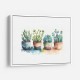Colorful Succulents Colorful Succulents